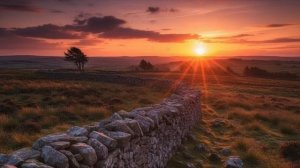 За своей стеной