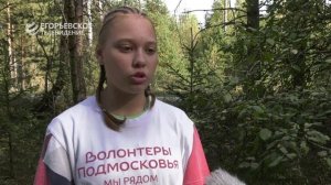 С заботой о природе. Егорьевцы присоединились к областной акции «Чистый лес»