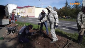 Озеленение Магадана: сотрудники КЗХ высаживают деревья и кустарники