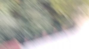 VID_20250919_164953.mp4
