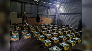 Появились кадры с двумя тоннами кокаина, которые пытались провезти в РФ из Эквадора