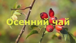 Осенний чай