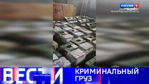 Вести Санкт-Петербург. Выпуск 11.30 от 19.09.2025