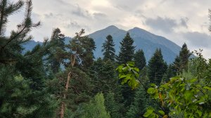 Красота природы.
