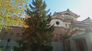 Прогулка у краеведческого музея. Осень в Южно-Сахалинске