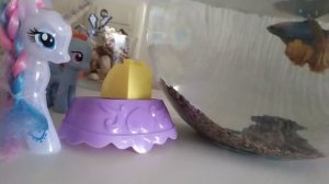 испытание для my little pony!!!