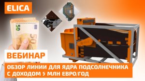 Обзор линии для ядра подсолнечника с доходом 5 млн евро/год