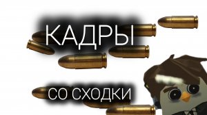 кадры со сходки