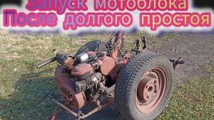 Запуск мотоблока МТЗ-05 после долгого простоя .Подготовка мотоблока к уборке картофеля .