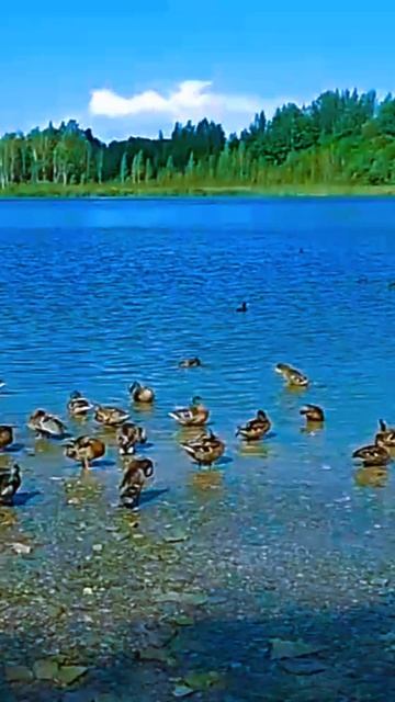 2024-08-20-194534836.mp4