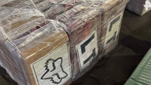 Кокаин на 20 млрд рублей нашли на корабле с бананами в Петерубрге