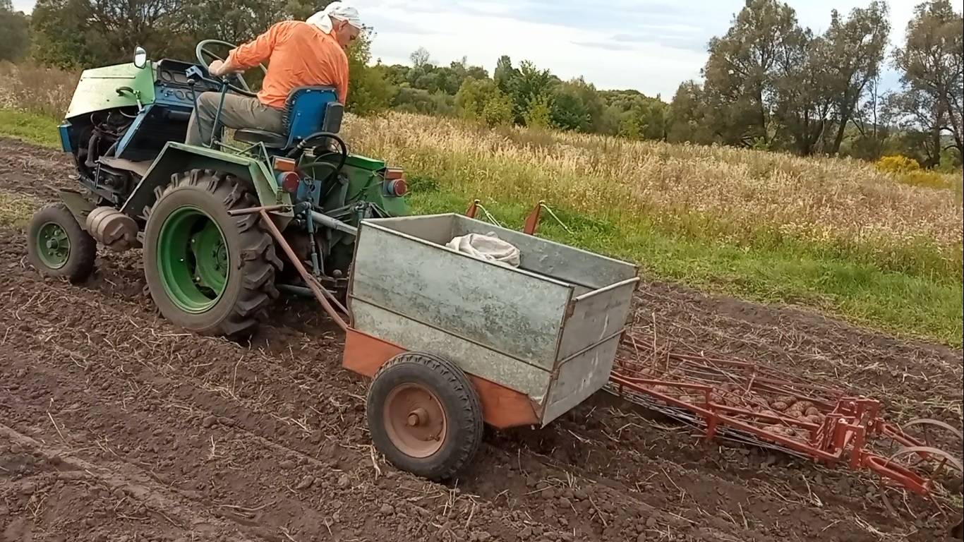 Часть 2. Как я вывожу урожай картошки с огорода. 3 в 1 копка сбор урожая и вывоз.