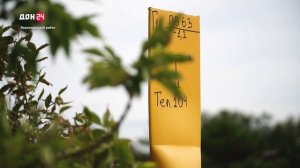 Из угольной пыли – в уют и свет