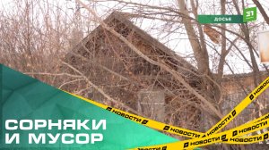 Сорняки, мусор и разбитые окна. За что у южноуральцев с 1 сентября будут отбирать землю?