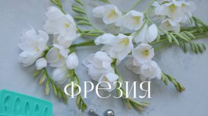 Мк Фрезия