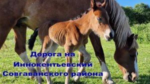 #Иннокентьевский_перед_Коппи_3_пути_от_Советской_Гавани