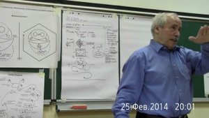 Экономика и мир деятельности. Положительная и отрицательная экономики. Субъективность. 2014