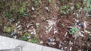 Свинарник в центре Кисловодска, в речке Березовой! Чем занимается мэр Моисеев? 19.09.2025 г.