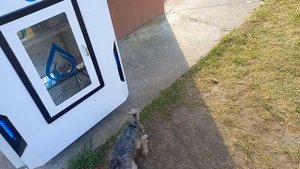 К нам пришла цивилизация 😀👌