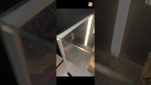Видеообзор Иркутского областного краеведческого музея. Экспозиционный отдел "Окно в Азию"