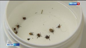 Вести-Томск, выпуск от 19.09.2025 11:30