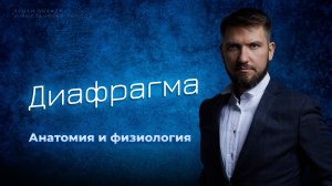 Диафрагма | Анатомия и физиология