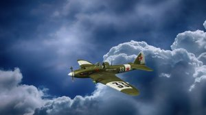 В.И.А.П.  -DED-   FRONT LINE.