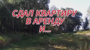 Сдача квартиры в аренду