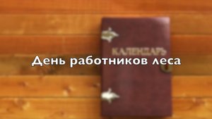 День работников леса