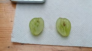 г.ф. ЛадушкаУдовенко Н.Т. на 18.09.2025 года