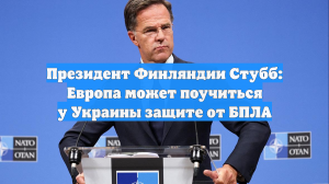 Президент Финляндии Стубб: Европа может поучиться у Украины защите от БПЛА