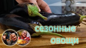 Готовим баклажаны, перцы, кабачки. Три лучших рецепта, которым нет равных по простоте и вкусу!