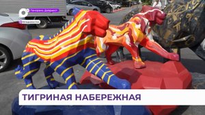 Семь амурских тигрят украсили Спортивную набережную Владивостока