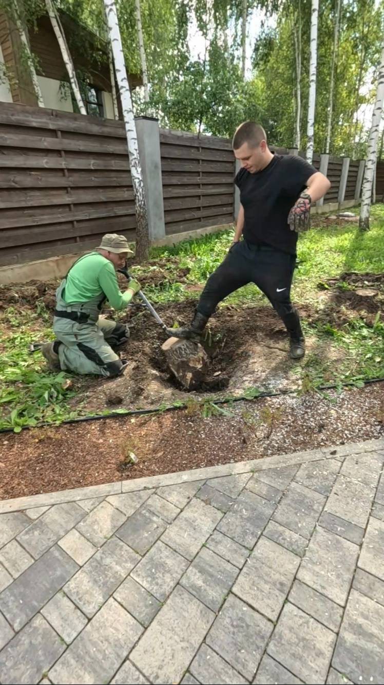 Удаление пня