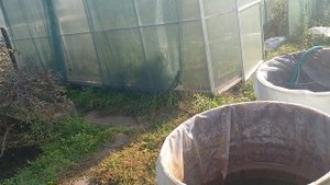 Погода радует, продолжаем работать. 19.09.2025г.