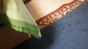 Приключения Шлёпы и Хренобуса 1 часть (1 сезон)