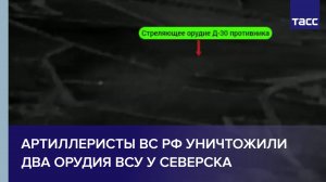 Артиллеристы ВС РФ уничтожили два орудия ВСУ у Северска