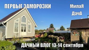 Первые заморозки | Стройка | Дачный влог 13-14 сентября