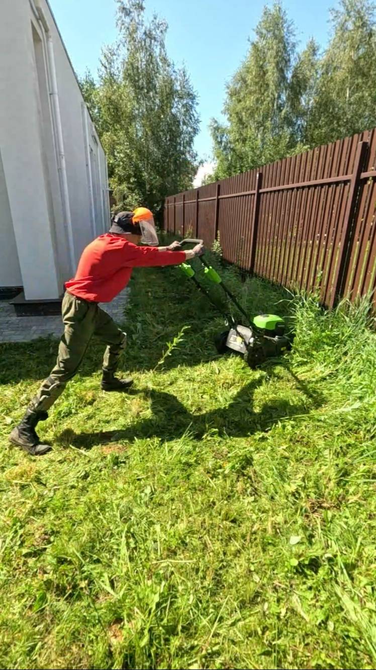 Покос высокой травы