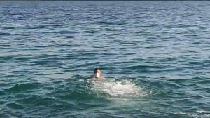 Берегите природу -мать вашу!!!!! Алушта. 30.11.2020- закрытие сезона!!!