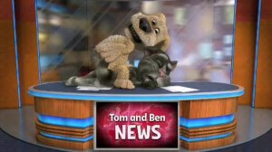 Том и Бен дерутся во время съёмки новостей