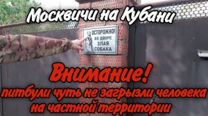 Питбули чуть не загрызли человека! Жизнь у моря! Кубанский фаст фуд!