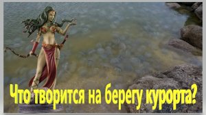Что творится на берегу курорта. Ейск. Медузы атакуют берега. Что с рыбалкой. Морские змеи.