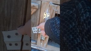 Почему именно Белый Паннон!