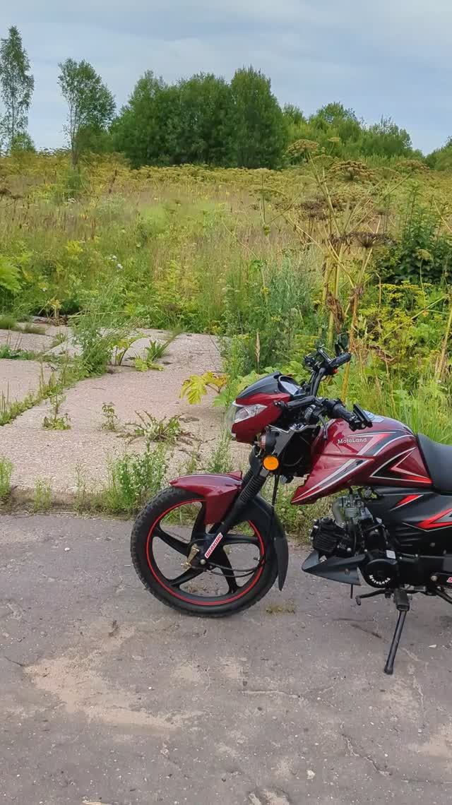 С Мопедом Альфа на прогулке!!! смотреть онлайн