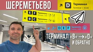 Аэропорт Шереметьево SVO - Как добраться из терминала d в терминал b? Метро в аэропорту!