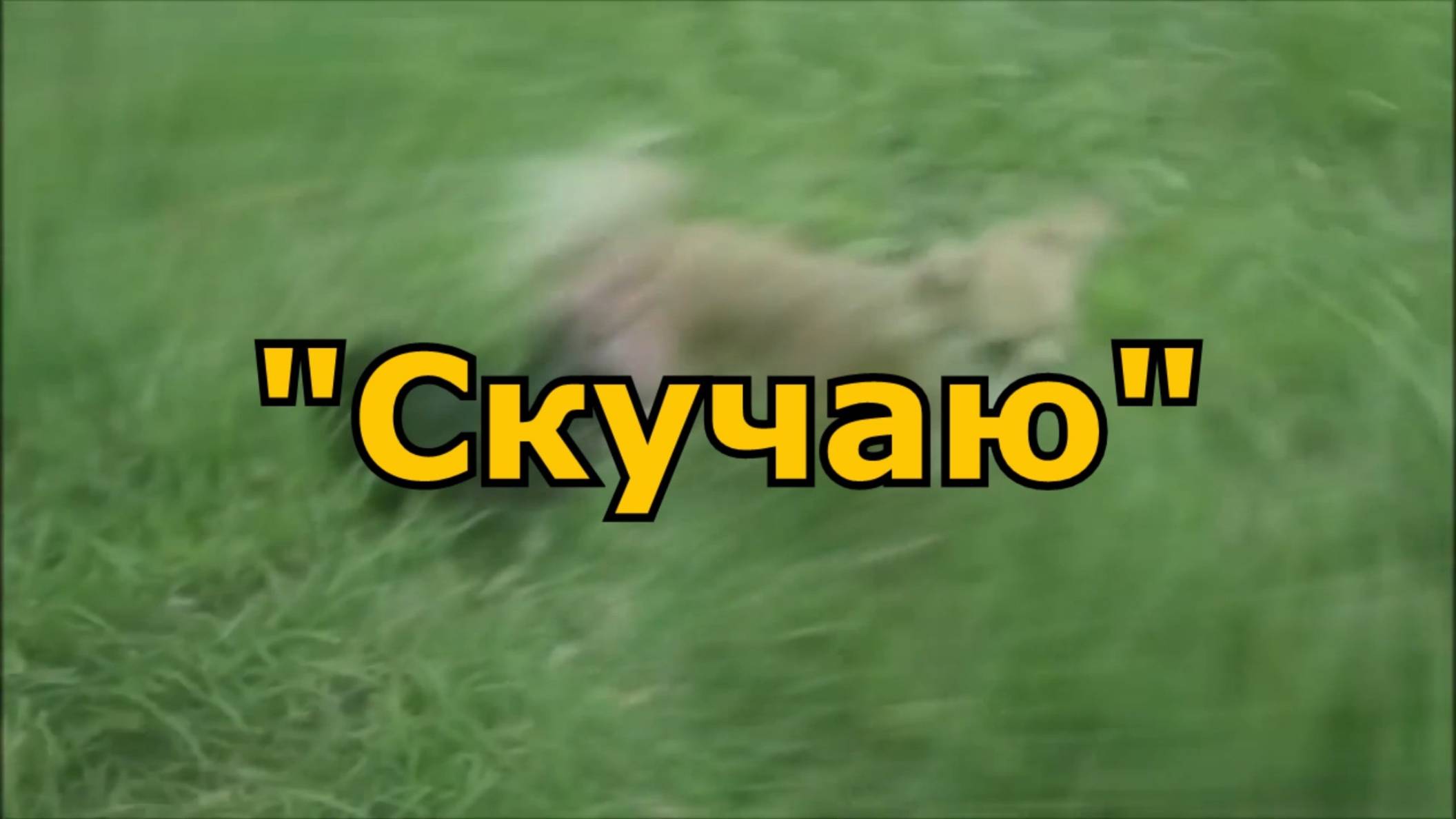 Антон Кушников и Маша Саунина - "Скучаю" смотреть онлайн