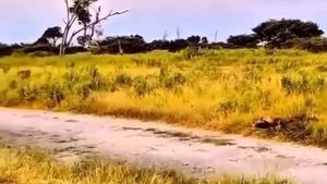 Путешествуйте выгодно

rosbillet.ru