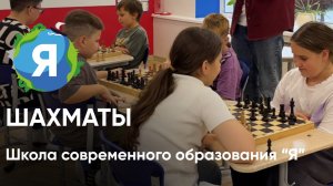 Кружок шахматы