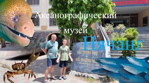 Тысячи видов морских обитателей. Живые акулы в открытом бассейне.